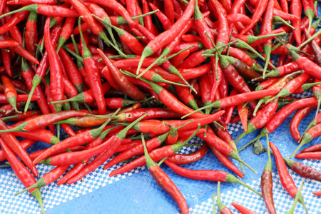 Fresh chilli for cooking at street food