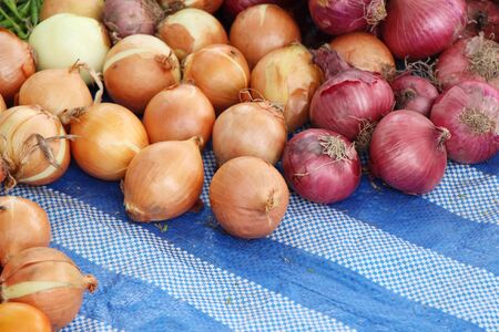 Fresh onion for cooking at street foodの写真素材