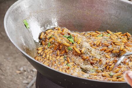 Fried silk worms delicious in street foodの写真素材