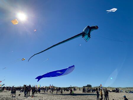 Kite Festivalの写真素材