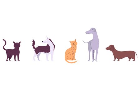 Cartoon design set of large group cute and funny cartoon dog breeds and cat pussy isolated on white vector, illustrationのイラスト素材