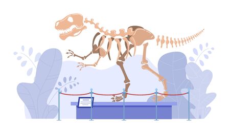 Dinosaur skeleton in natural history museum, paleontology exhibition, vector illustration. Prehistoric extinct animal Jurassic period. Archeology exposition display, preserved bones tyrannosaurus rexのイラスト素材