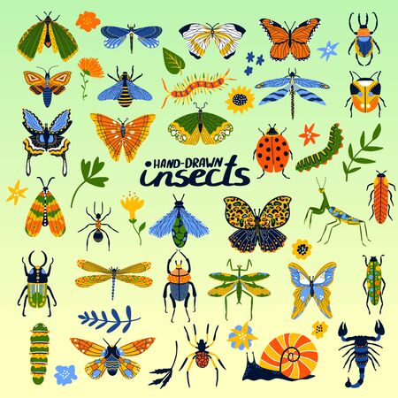 Insects collection of beetles, bee, ladybug, butterfly and bugs cartoon poster for insectology vector illustration.のイラスト素材