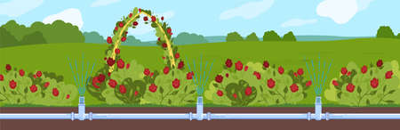Garden watering vector illustration, cartoon flat underground automatic irrigating water supply pipe system, irrigation technologyのイラスト素材