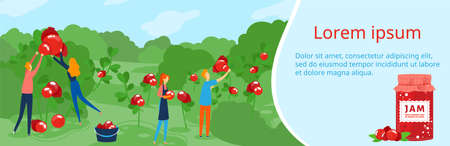 People work on berry eco farm vector illustration, cartoon flat tiny agricultural worker harvesting, farmer character workingのイラスト素材