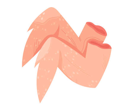 Meat red steak, beef fillet, barbecue chop, raw bossy slice, cut pork, isolated on white, design, flat style illustration.のイラスト素材