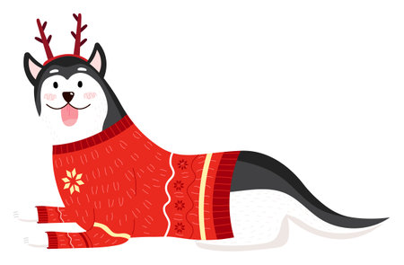 Happy husky dog dressed in a festive reindeer sweater and antlers. Cheerful pet enjoying holiday season in cute outfit.のイラスト素材
