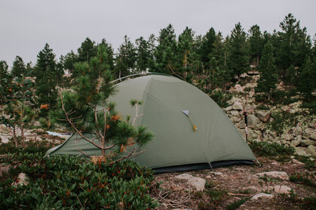 A green tourist tent for three person set up in a forest surrounded by evergreen conifers and rocks in a mountainous area. Camping in the forest while hiking in the mountainsの写真素材