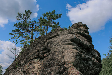 Coniferous trees grow on top of a syenite rockの写真素材