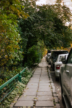 Pedestrian path made of slabs in the courtyard of an apartment building, surrounded by green...