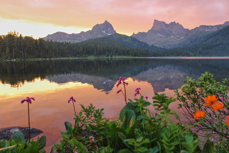 Incredibly beautiful summer sunset landscape, observation from the shore of colorful mountain lake. Flowers and grass on blank. Svetloye lake in Ergaki nature park, Siberia, Russia.の写真素材