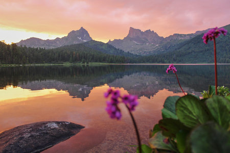 Beautiful landscape with high cliffs and sharp peaks, stones and flowers on a mountain lake Shore, reflection, pink sky and yellow sunlight at sunset. Amazing scene from the mountains.の写真素材