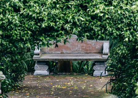 Empty old concrete park bench, made in antique Greek style, surrounded by green foliage, close up. A place of solitude with nature. Summer gardenの写真素材