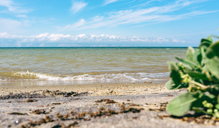 Baikal lake sandy coast, summer Olkhon islandの写真素材