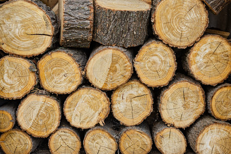 Closeup of sawn round firewood. Pile of stacked wood logs. Natural wooden background