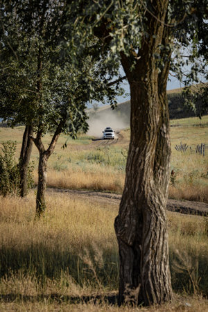 A white car drives along a rural road, dust flying from under the wheels. View through the trees. Summer road trip.の写真素材
