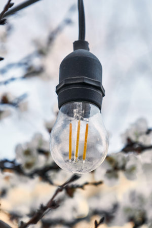 Light bulb decor in public park, outdoor lighting.