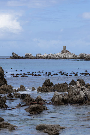 Coastal landscape Bettys Bay, rocky shore and ocean, South Africa.