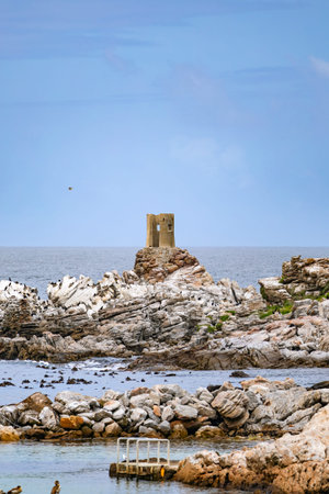 Coastal landscape Bettys Bay, rocky shore and ocean, South Africa.