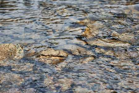 Clear river water flowing over smooth stones. Small stream with natural pebbles in mountain creek....