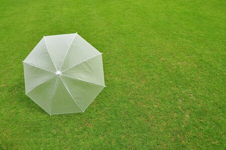 green umbellaの写真素材