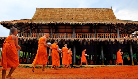 thai monkのeditorial素材