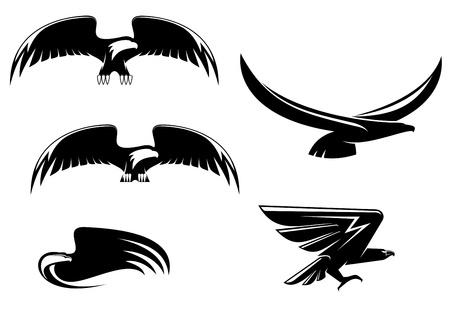 Heraldry eagle symbols and tattoo isolated on whiteのイラスト素材