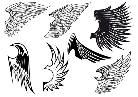 Set of bird wings for heraldry design isolated on white backgroundのイラスト素材