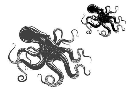 Giant octopus in black and gray color isolated on white backgroundのイラスト素材