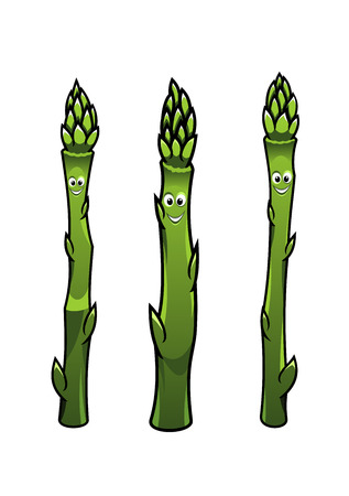 Cartoon illustration of three different green happy smiling asparagus spears standing upright isolated on whiteのイラスト素材