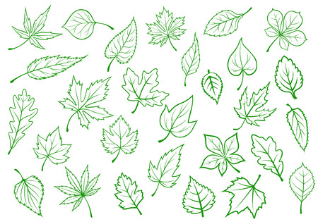 Green forest and field leaves icons in outline style for ecology and botany designのイラスト素材