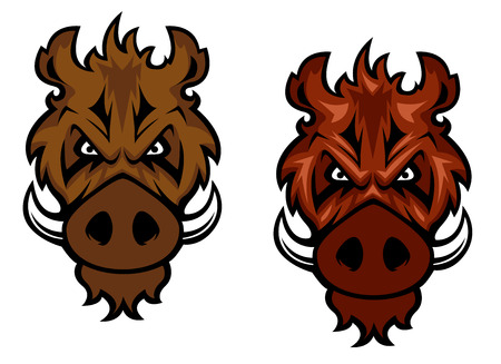 Fierce wild boar character with curved tusks glaring at the viewer, vector illustration isolated on whiteのイラスト素材