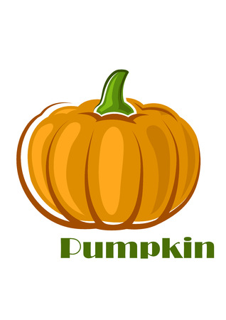 Orange ripe pumpkin vegetable with ribbed hard peel and dried stalk in cartoon style isolated on white background with text Pumpkinのイラスト素材