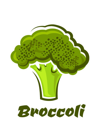 Cartoon fresh green healthy broccoli vegetable with text  Broccoli below for a healthy vegetable or vegetarian dietのイラスト素材