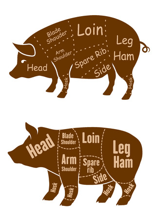 Meaty brown pigs with various outlines of different butchery cuts for retail pork and butcher shop designのイラスト素材