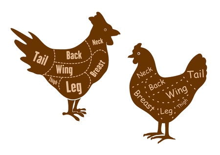 Hen and rooster butcher cuts diagram with neck, breast, leg, thigh, wing, back and tail elements for butchery designのイラスト素材