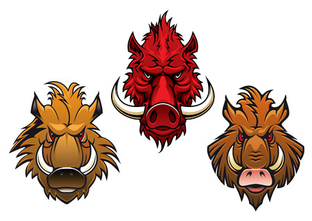 Cartoon fierce wild boar characters with menacing curved tusks and irate eyesのイラスト素材