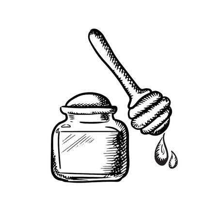 Sweet honey in glass jar and wooden dipper with honey drops isolated on white background, sketch styleのイラスト素材