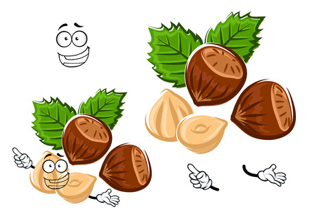 Healthful happy hazelnut cartoon character with brown nuts, shelled kernel and carved green leaves, isolated on whiteのイラスト素材