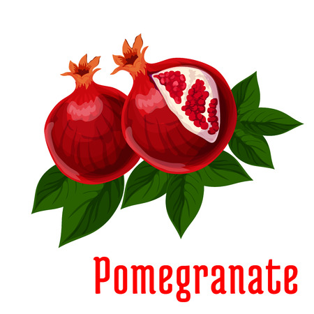 Ripe pomegranate fruits with leaves icon of open red pomegranate with sweet juicy seeds. Food and juice packaging, vegetarian dessert designのイラスト素材