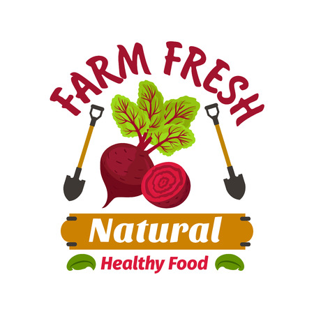 Beet. Farm fresh vegetable product emblem. Healthy vegan food icon with beetroot leaves haulm and spades. Vector vegetable label for vegetarian product sticker, grocery farm store, packagingのイラスト素材