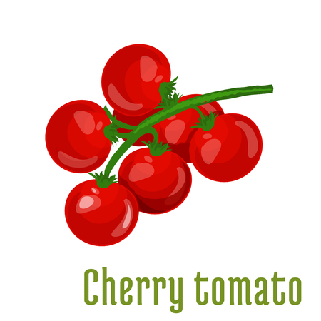Cherry tomato vegetable icon. Bunch of cherry tomatoes on stem with leaves. Fresh food product element for sticker, grocery shop, farm store elementのイラスト素材