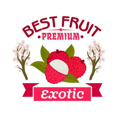Exotic lychee fruit emblem of tropical ripe litchi with green leaves, framed by blooming lichee trees and pink ribbon banner. Farm market, food and juice packaging designのイラスト素材