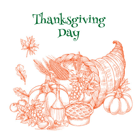 Thanksgiving harvest cornucopia sketch for greeting card. Traditional autumn celebration element of food plenty horn with thanksgiving pie, pumpkin, apple and autumn leaves of maple and oak. Design for thanksgiving banner, poster on white backgroundのイラスト素材