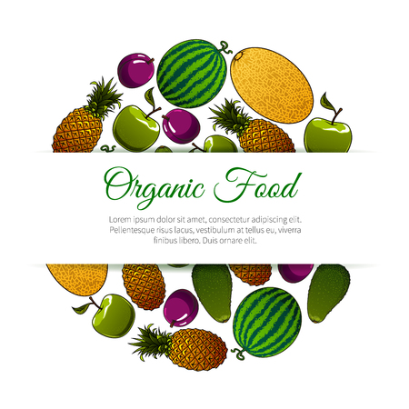 Organic food fruits banner. Vector design for grocery store, food market, magazine book cover. Icons of fresh and juicy fruit watermelon, melon, apple, plum, tropical and exotic avocado, pineappleのイラスト素材