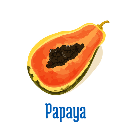Papaya half cut icon with seeds. Vector emblem of isolated tasty exotic tropical papaya fruit. Design element for juice, jam sticker label, snack package designのイラスト素材