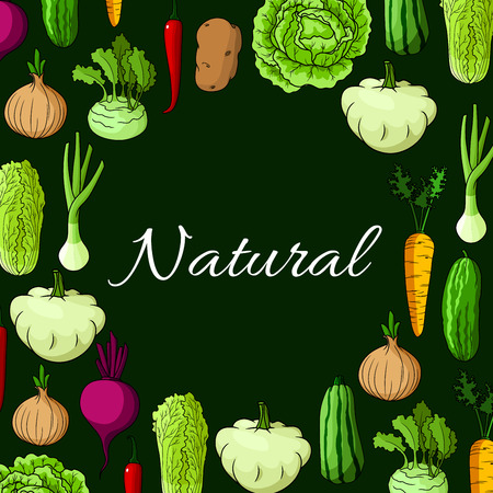 Veggies poster of farm harvest vegetables. Vector cabbage with zucchini squash, leek or celery, onion, kohlrabi and beet, chinese cabbage napa, carrot and potato, chili or bell pepper with cucumber. Vegetarian healthy food cuisineのイラスト素材