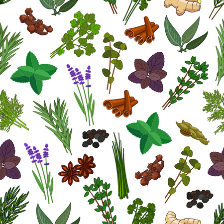 Herbs and spices seamless pattern. Vector patterns of mint, cinnamon, thyme, ginger, ginger and cloves, marjoram and tarragon, lemongrass and sage, basil and lemon balm, oregano, parsley and dill, cilantro, corianderのイラスト素材