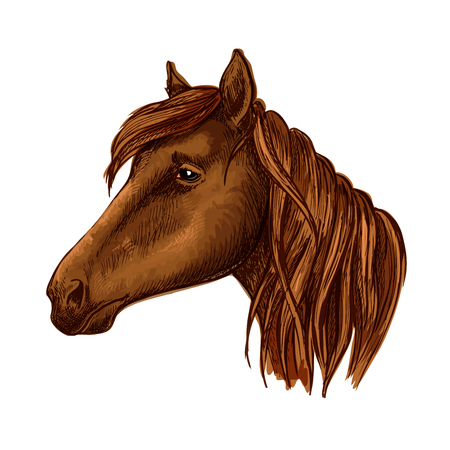 Brown horse head. Wild mustang muzzle with sad shiny eyes and wavy mane. Vector portraitのイラスト素材