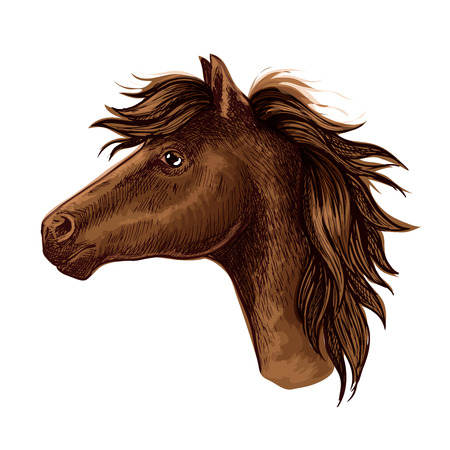 Brown arabian horse animal head. Beautiful young foal with kind eyes and spiky mane. Wild mustang stallion sketch portraitのイラスト素材